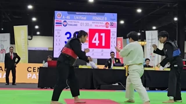 用担
